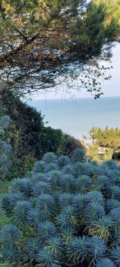 Le Cise Eau A Bois Lägenhet Le Bois de Cise Exteriör bild